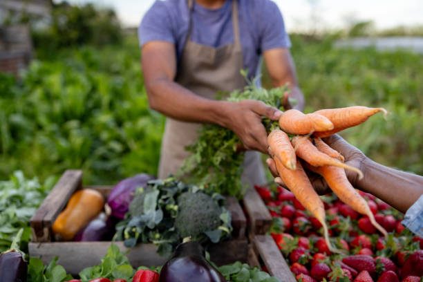 Fresh Carrots