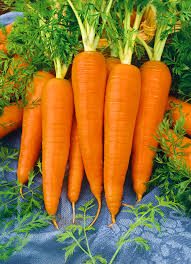 Fresh Carrot thumbnail 3