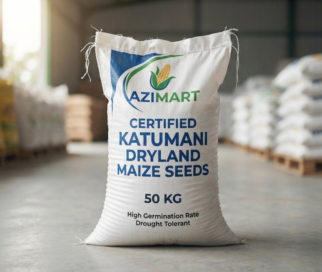 Certified Katumani Dryland Maize Seeds
