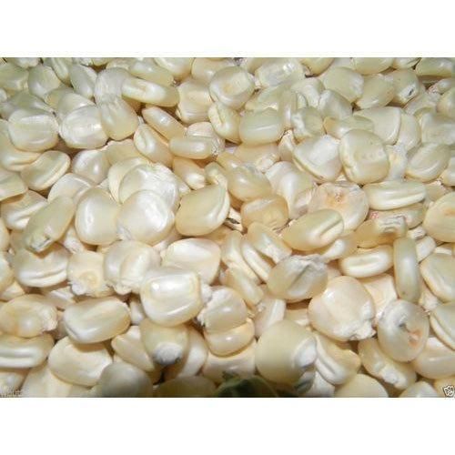 Premium Quality Dry Maize (Grade 1)